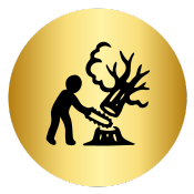 Tree Services